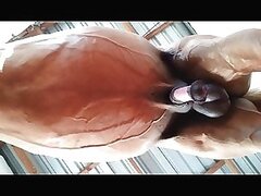 Bestiality Horse Fuck