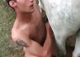 Dirty-minded dude makes out with a horse by sucking its pecker