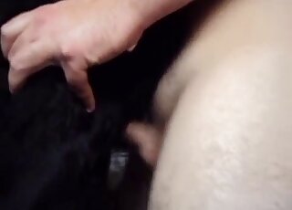 Black dog getting its pussy fucked by a well-hung dude right here