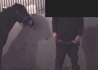 Dude exposes his pale ass to let this black stallion fuck him hard