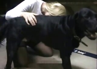 Stockings-wearing blonde zoophile jerking a black dog's dick hard