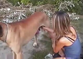 Tempting lady with a sexy body seducing a sexy dog while outdoors