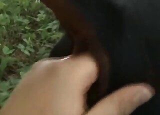 Black dog is getting fingered with passion in an outdoor porn video