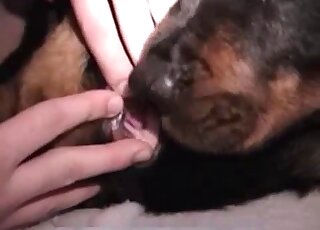 Sexy guy fingering this dog's hot vagina on the floor during foreplay