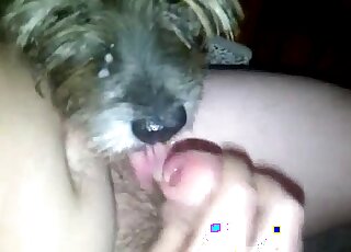 Pasty guy jacking his dick to get this animal to want to fuck him