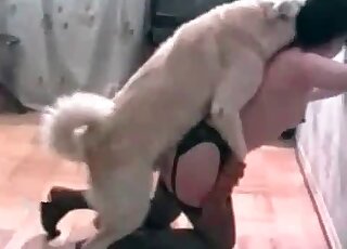 White dog bangs hot chick from behind in XXX bestiality session