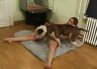 Skinny flexible girl lets this dog eat her out on the floor, it's hot