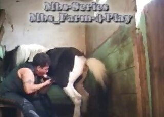 Leather-wearing bestiality momma sucks on a pony's penis here