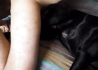 Skinny guy with a nice cock fucks a black dog before creampie-ing it