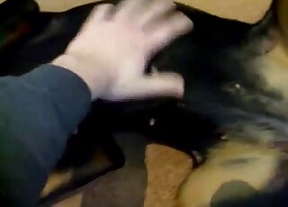 Dude petting his sexy dog before fucking it with true passion