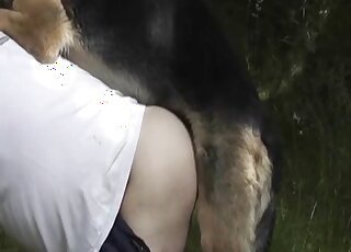 White t-shirt zoophile gets to stroke dog cock before enjoying anal