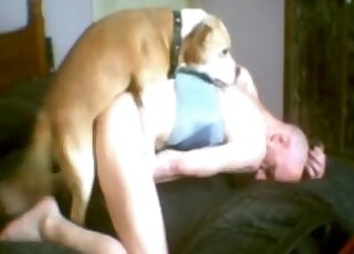 Bald-headed crossdresser enjoying deep doggystyle fucking on a bed