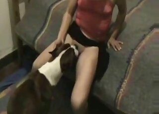 Zoophile with long legs lifts up her skirt to let the dog eat her out
