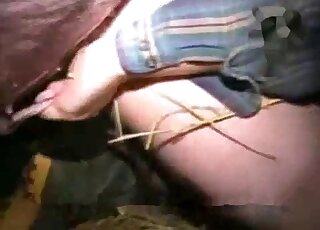 Sexy pig fucking a guy's tight butthole from behind with passion