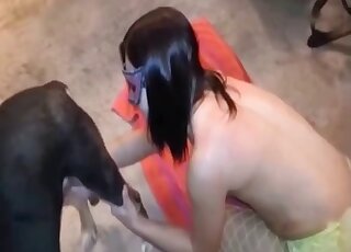 Attractive brunette in a mask is happy to suck on a dog's juicy member