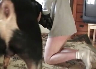 Retro amateur porn video with a zoophile that fucks dog on all fours
