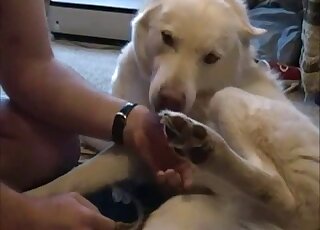 Sexy white dog is fully prepared to get fingered by a male zoophile
