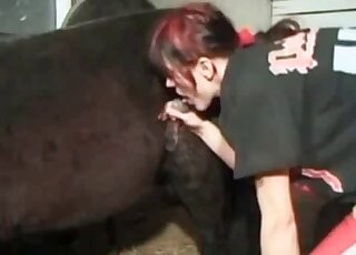 Redhead zoophile slut performs a high-class oral action with a horse