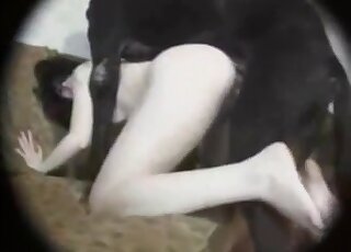 Black animal rams big dick inside of a tender pussy of a zoophile