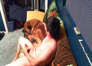Dark-haired guy jacking off while seducing his brown animal here