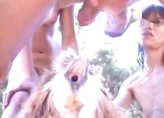 Dude's penis sliding in and out of this dog's pussy in outdoor vid