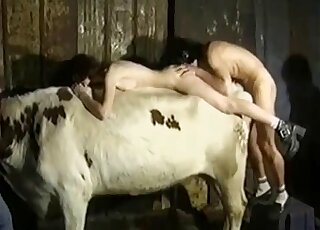 Threesome zoo porn movie with a zoophilic duo that fucks a mare
