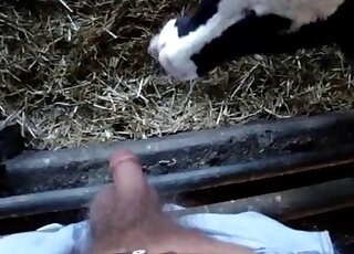 Black animal lets this dude fuck its pretty face in a very hot video