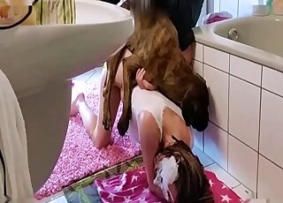 Tattooed amateur girl bends over for bathroom sex with Boxer dog
