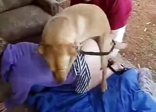 Amateur blonde babe bends over for doggy sex with Labrador