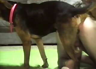 Skinny guy lets the dog eat his butt after anal banging