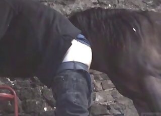 Fellow drops pants and anticipates anal banging from big horse shaft
