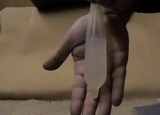 Gentleman drains sperm and piss from hard dog cock into condom