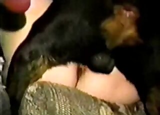 Vintage bestiality porn - Hot lady got missionary banged by black dog
