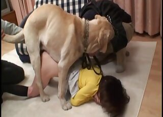 Slim Asian chick is fucked up the hairy pussy by a cute Labrador