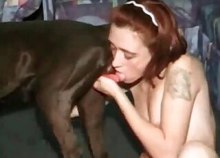Horny whore loves sucking that red pecker of her dog at home