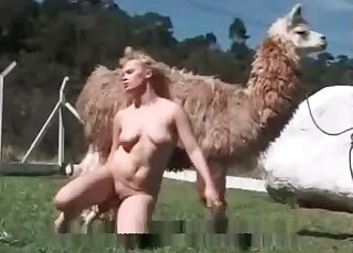 Filthy slut is about to start making out outdoors with alpaca