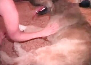 Blonde is good at performing blowjob to a dog during XXX zoo porn