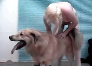 Big fluffy dog gets seduced by a blonde that craves for zoo porn