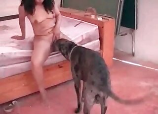 Horny slut welcomes dog's hard shaft in her wet and shaved cunt
