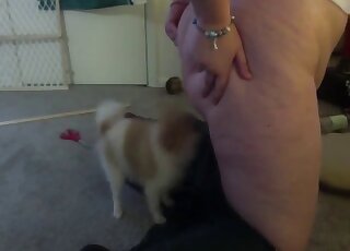 Big ass cougar lets dog sniff her pussy out