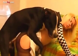 Blonde & brunette share a black dog for threeway bestiality