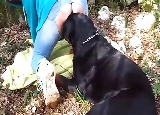 Randy Rottweiler is erect and impatient to stuff girl's pussy