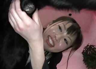 Dressed Japanese babe gets face licked by aroused black Labrador