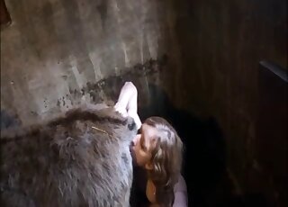 Chubby brunette and blonde MILF have zoo sex fun in a stable