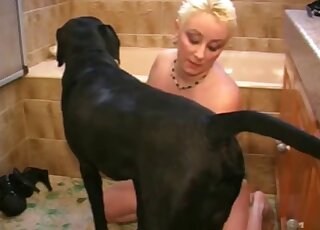 BBW mature blonde has zoo sex fun in bathroom with black Labrador