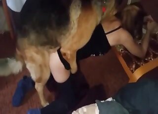 Aroused German Shepherd climbs on top of mistress for doggy banging