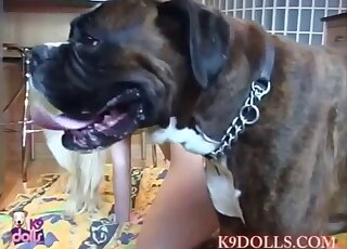 Smoking hot blonde girl got pussy licked by adorable Boxer dog
