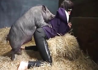 Crotchless chick gets pussy banged by thick boar in heat