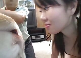 Zoo porn - Cute Korean girl tries dog cock and asshole on camera