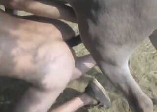 Kneeling zoophiliac uses long horse cock for anal banging fun